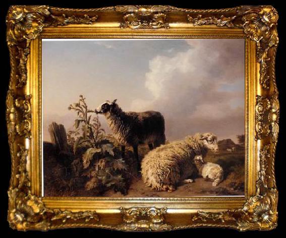 framed  unknow artist Sheep 082, ta009-2